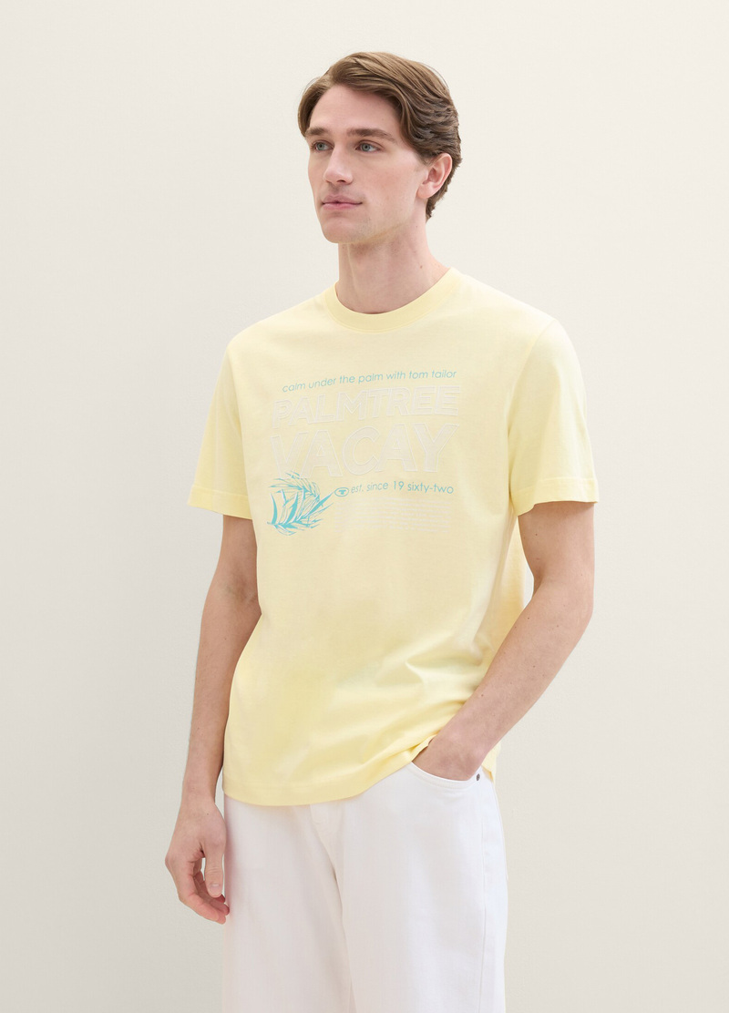 Meski T Shirt Tom Tailor C Neck T Shirt Light Yellow - 1041817-34585