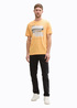 Meski T Shirt Tom Tailor Graphics T Shirt Peachy Orange - 1045664-37103