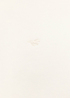 Mustang Franklin Whisper White - 1016969-2013 Mustang Franklin Whisper White - 1016969-2013